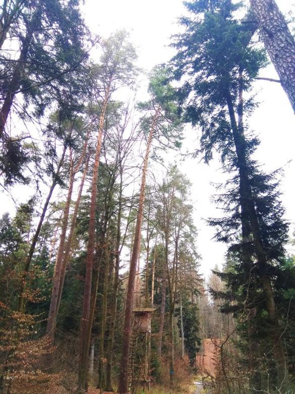 Ferienhaus Ulegalki Roztocze Adamow (Zamosc)